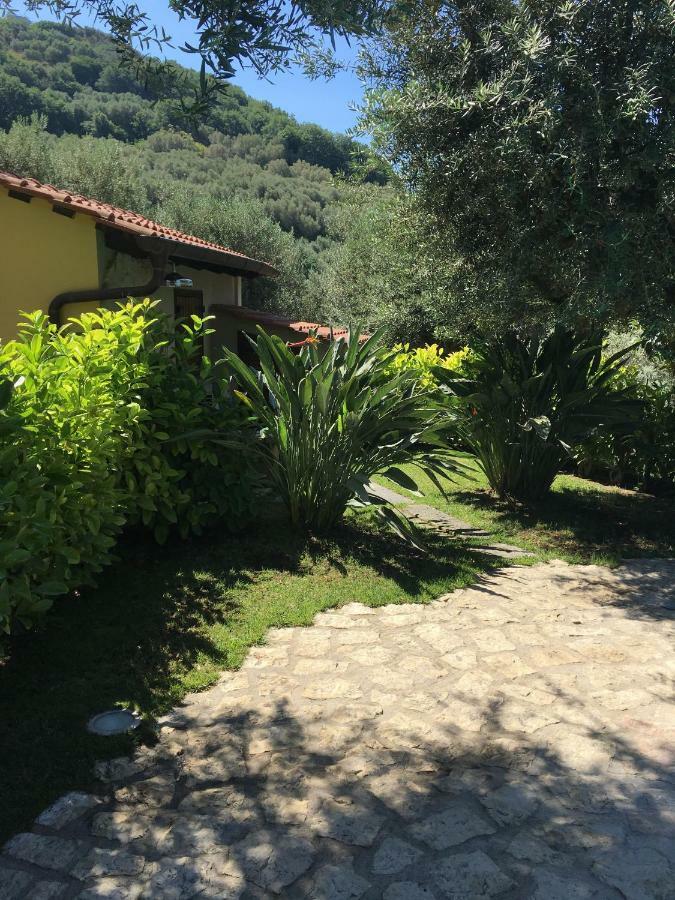 B&B La Quiete Massa Lubrense Exteriér fotografie